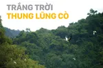 Trắng trời thung lũng cò