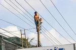 Một người bị ngáo đá tự leo lên cột điện.