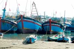 Quảng Ngãi: Tàu cá không thể ra khơi vì luồng lạch bị bồi lấp