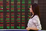 VN Index vượt đỉnh, nhưng hiệu suất đầu tư tụt giảm