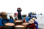 Ngư dân Quảng Ngãi trúng đậm mùa ruốc cuối năm