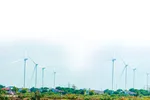 Những trụ tuabin điện gió mọc lên từ những bãi bồi ven biển Vĩnh Châu, Sóc Trăng. Ảnh: TUẤN QUANG