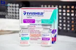 Mở cổng đăng ký tiêm kháng thể đơn dòng Evusheld ngừa Covid-19