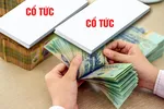 Khó trông chờ cổ tức bằng tiền tươi thóc thật