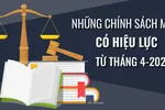 Những chính sách mới, có hiệu lực từ tháng 4-2022