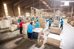 Nguyên liệu để chế biến sản phẩm gỗ xuất khẩu hiện DN phải đối mặt với khó khăn.