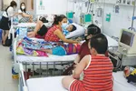 Vào mùa dịch bệnh tay chân miệng, sốt xuất huyết