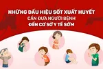 Sốt xuất huyết: Thấy 6 dấu hiệu này, đưa người bệnh đến cơ sở y tế gấp