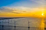Ưu tiên phát triển điện gió ngoài khơi 