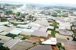 TP Đà Lạt nhìn từ trên cao chỉ thấy bạt ngàn màu trắng xóa của các mái nhà kính.