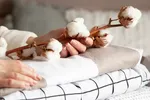 Thị trường cotton kỳ vọng tạo đáy