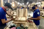 Công nhân đang chế biến gỗ tại Công ty cổ phần gỗ Thuận An