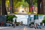 Những hình ảnh con đường rợp bóng cây xanh như thế này ở TPHCM ngày càng hiếm, hay nói đúng hơn chỉ còn là dĩ vãng. 