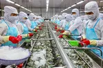 Nhiều doanh nghiệp đang gặp khó khăn, thua lỗ, trong khi đó ngân hàng đang lãi lớn nhờ doanh nghiệp đóng lãi vay. (Trong ảnh: Chế biến thủy sản xuất khẩu tại CTCP Tập đoàn Thủy sản Minh Phú).
