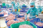 Một số quy định trong nước chưa phù hợp đang cản bước xuất khẩu ngành thủy sản.