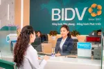 BIDV và VietinBank có tổng nợ xấu tăng nhiều nhất sau 9 tháng.