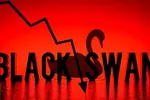 Sẽ có 'thiên nga đen' trong năm 2025?