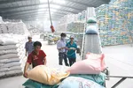 Xuất khẩu gạo: Giảm lượng, tăng chất