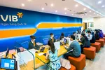 VIB là một trong những ngân hàng bứt phá tăng trưởng tín dụng.
