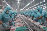 Xuất khẩu thủy sản phục hồi chậm, cá tra vẫn gặp khó ở EU