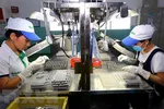 Một doanh nghiệp tại khu chế xuất Tân Thuận (Thành phố Hồ Chí Minh). (Nguồn: TTXVN)