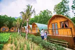 Mô hình farmstay đã bị biến tướng khi phân lô đất nông nghiệp để đầu tư.