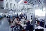 Dây chuyền sản xuất các sản phẩm may mặc xuất khẩu tại Công ty Cổ phần may và dịch vụ Hưng Long (Thị xã Mỹ Hào). (Ảnh: Phạm Kiên/TTXVN)