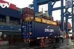 Việc tăng giá cước vận tải container đang gây khó khăn cho các DN xuất khẩu.