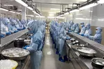 Chế biến tôm đông lạnh xuất khẩu tại Công ty cổ phần Thủy sản Thông Thuận Cam Ranh, tỉnh Khánh Hòa. (Ảnh: Phan Sáu/TTXVN)