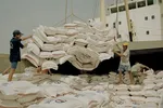 Làm rõ dấu hiệu gian lận xuất xứ gạo Việt Nam