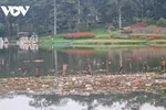 Hồ Than Thở Đà Lạt ngập tràn rác thải nông nghiệp