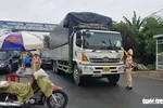 Công an huyện Châu Phú kiểm tra giấy xét nghiệm âm tính COVID-19 của một tài xế xe tải - Ảnh: BỬU ĐẤU