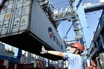 Xếp dỡ hàng hóa tại cảng Cát Lái (TP Thủ Đức, TP.HCM) - Ảnh: TỰ TRUNG