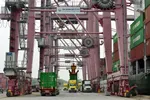Kiến nghị dừng thu phí hạ tầng cảng biển tại TP.HCM