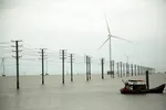 Cần sớm gỡ rào cản cho điện gió ngoài khơi