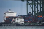 Các tàu chở hàng tại cảng Singapore. (Ảnh: THX/TTXVN)