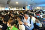 Tình trạng ùn tắc giao thông khu vực nội cảng, khu vực lân cận sân bay liên tục tái diễn tại sân bay Tân Sơn Nhất - Ảnh: Báo GT