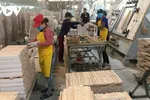 Kiến nghị gỡ khó về hoàn thuế VAT cho doanh nghiệp gỗ