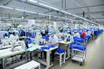 Sản xuất tại doanh nghiệp dệt may 29/3. (Ảnh: Vietnam+)