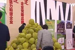 Tại gian hàng trái cây Việt Nam ở trung tâm Triển lãm Higreen, TP Thiên Tân, sầu riêng là tâm điểm.
