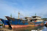 Tàu cá đóng theo Nghị định 67 của ngư dân xã Phước Hưng, huyện Long Điền, tỉnh Bà Rịa-Vũng Tàu hoạt động không hiệu quả phải nằm bờ. (Ảnh: Hoàng Nhị/TTXVN)