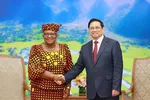 Thủ tướng Phạm Minh Chính tiếp Tổng Giám đốc Tổ chức Thương mại thế giới (WTO) Ngozi Okonjo-Iweal. (Ảnh: Dương Giang/TTXVN)