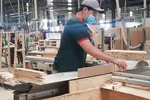 Doanh nghiệp xuất khẩu gỗ gặp khó khăn. 