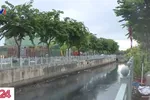TPHCM: Kênh Tân Hóa - Lò Gốm sau cải tạo lại bị ô nhiễm