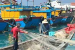 Gỡ thẻ vàng IUU: Giải quyết các thiếu sót để đón Đoàn thanh tra EC