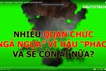 Loạt quan chức "ngã ngựa" vì Hậu "Pháo", ai sẽ là người tiếp theo?