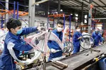 Công ty xe đạp Thống Nhất sản xuất xe đạp tiêu thụ thị trường trong nước và xuất khẩu. (Ảnh: Trần Việt/TTXVN)