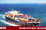 Cước vận tải biển dựng đứng, doanh nghiệp tốn thêm chục nghìn đô mỗi chuyến hàng