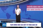 Góc nhìn chuyên gia: Tạm dừng đấu giá đất vì tăng quá ảo