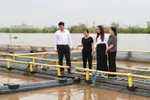 Đoàn công tác Agribank thăm hỏi, động viên khách hàng Phạm Văn Nhiêu tại huyện Tiên Lãng - Hải Phòng, bị thiệt hại khoảng 200 tấn cá giống, cá thịt và 3 khu lán trại, thiệt hại ước tính 13 tỷ đồng.